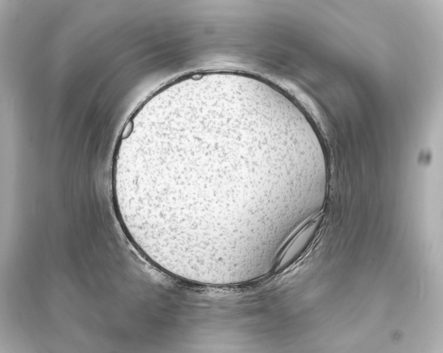 X0000093741191200711131054
