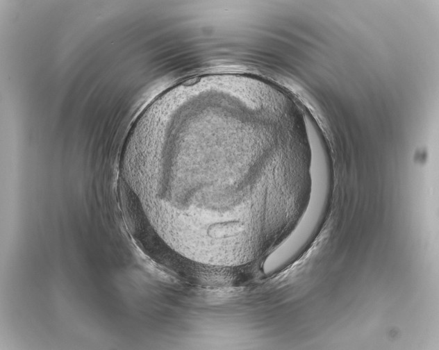X0000093741193200711131054