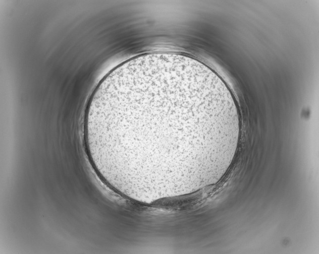 X0000093741195200711131054