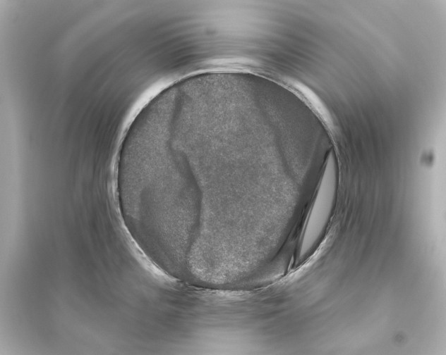 X0000093741196200711131054