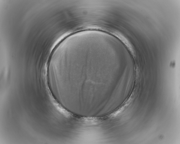 X0000093741198200711131054