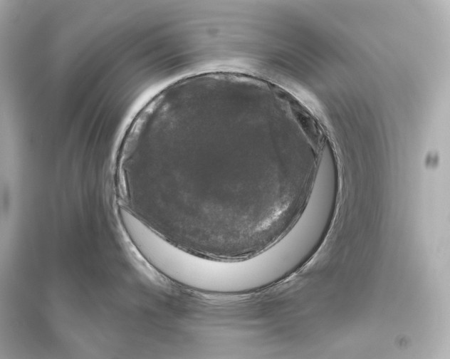 X0000093741200200711131054