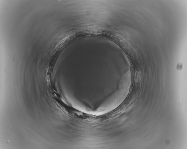X0000093741202200711131053