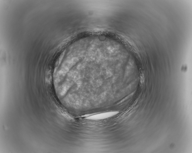X0000093741204200711131054
