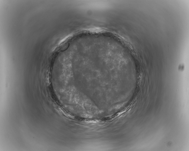 X0000093741205200711131054