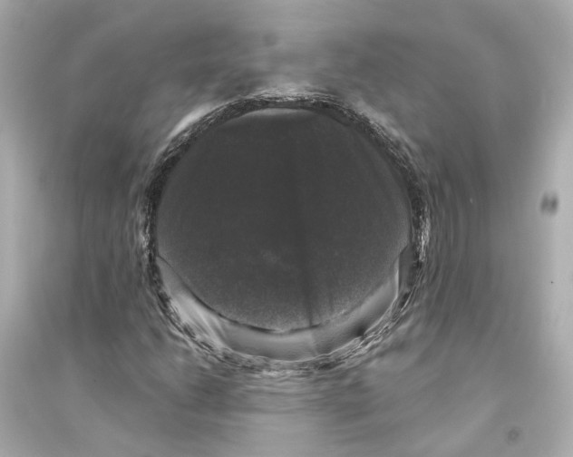 X0000093741206200711131054