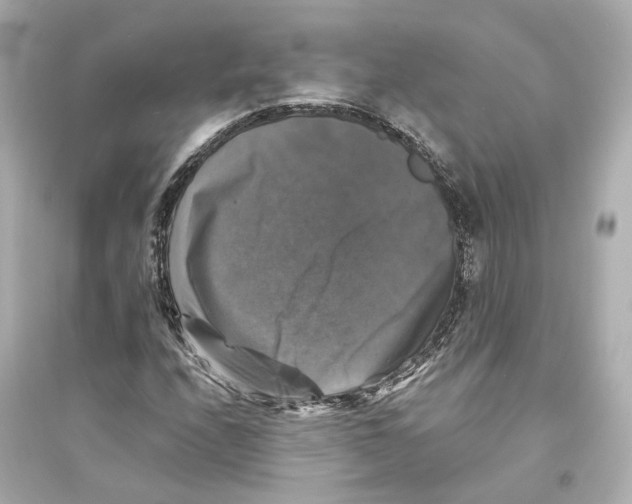 X0000093741208200711131054