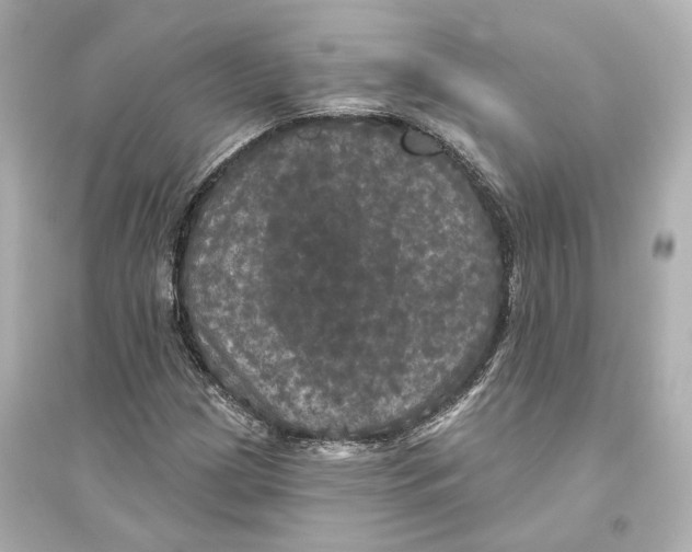 X0000093741209200711131054