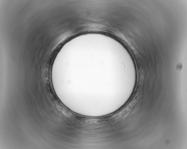 X0000093741211200711131054