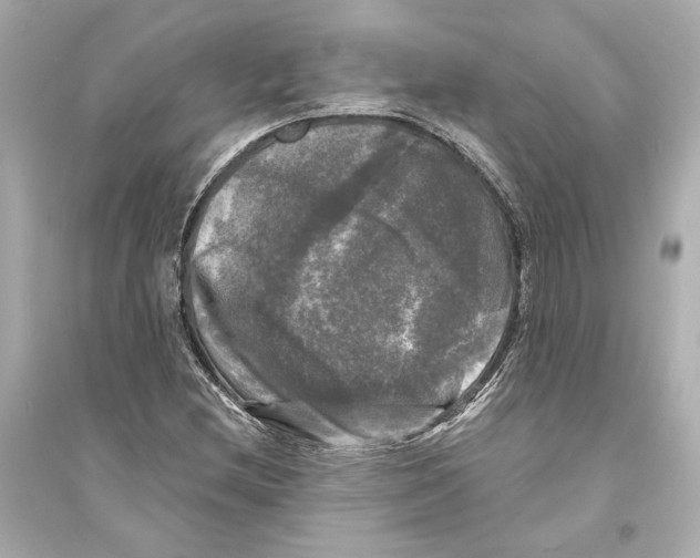 X0000093741212200711131054