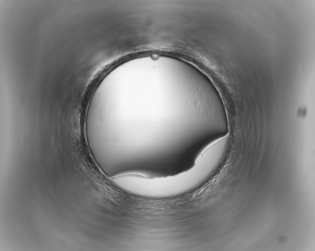 X0000093741214200711131054