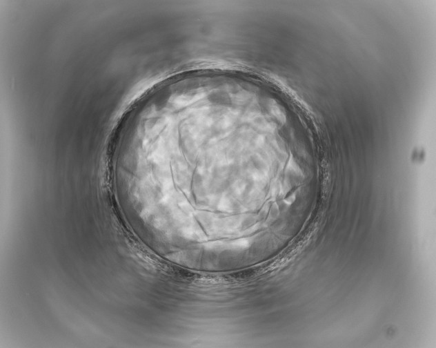 X0000093741215200711131054