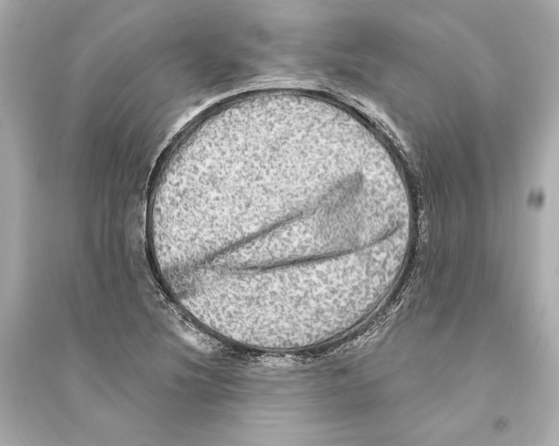 X0000093741220200711131054