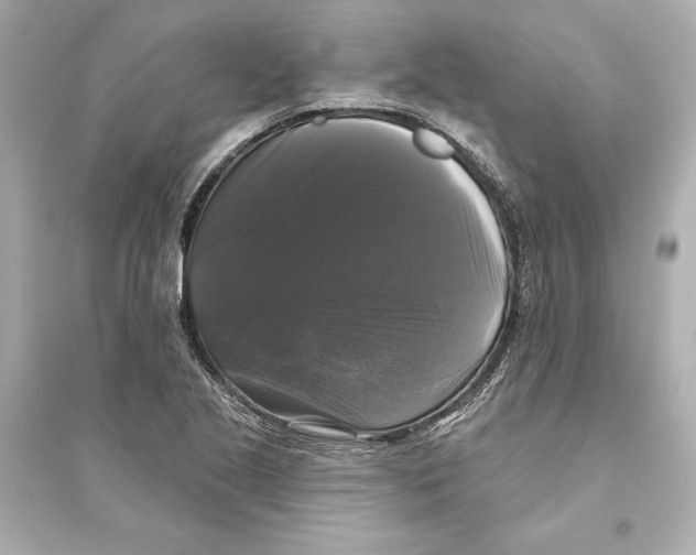 X0000093741221200711131054