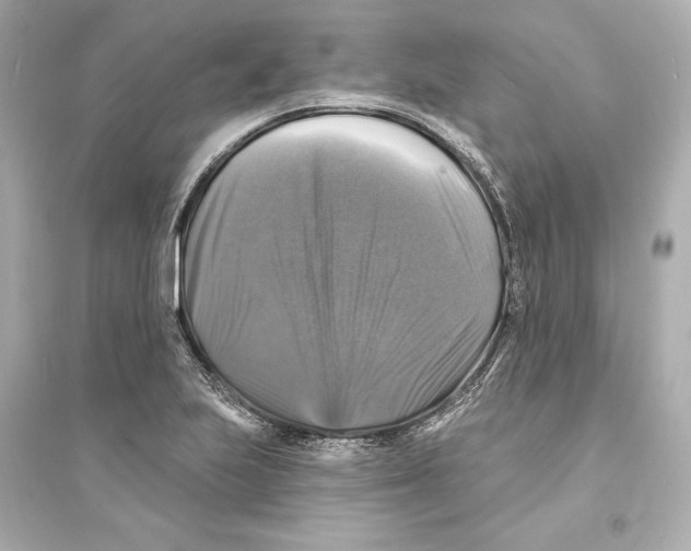 X0000093741223200711131054
