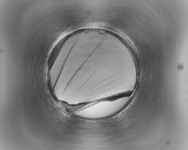 X0000093741224200711131054