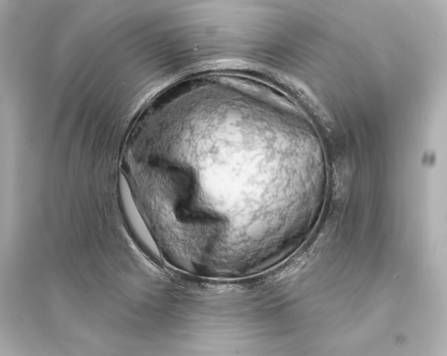 X0000093741225200711131054
