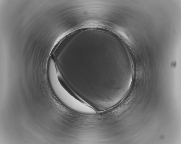 X0000093741226200711131054