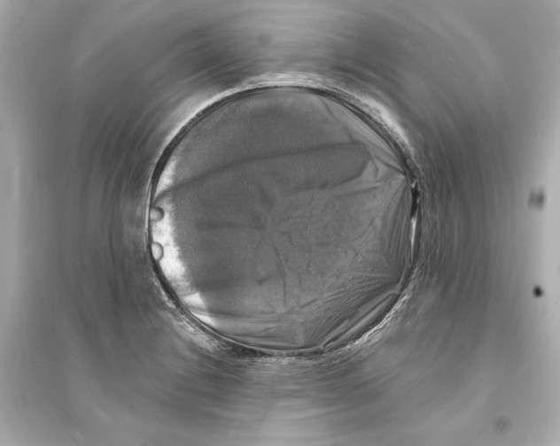 X0000093741228200711131054