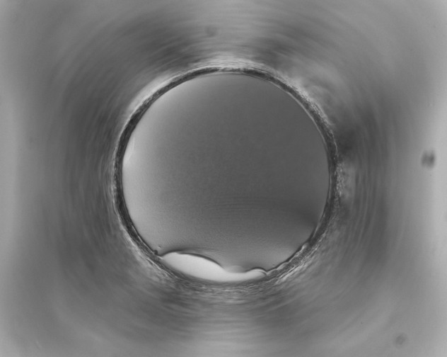 X0000093741229200711131054