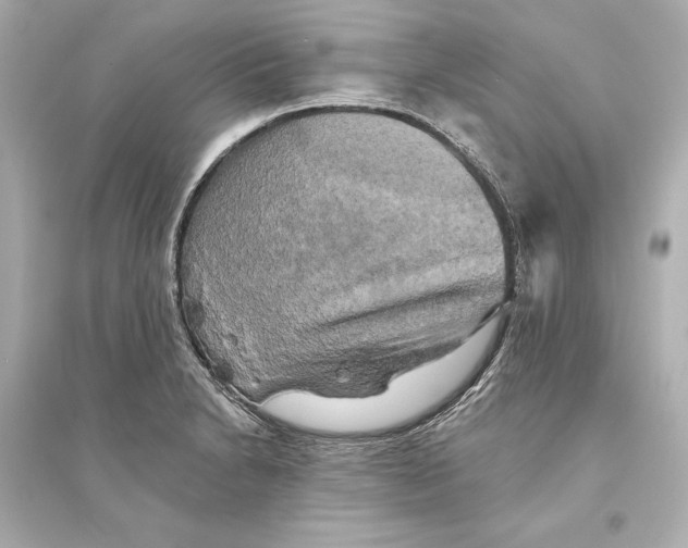 X0000093741230200711131054