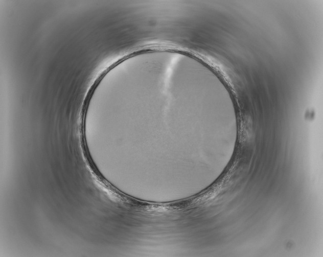 X0000093741231200711131054