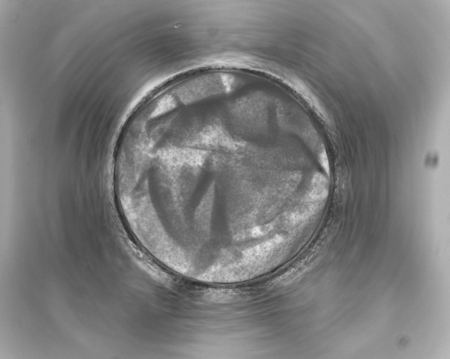 X0000093741232200711131054