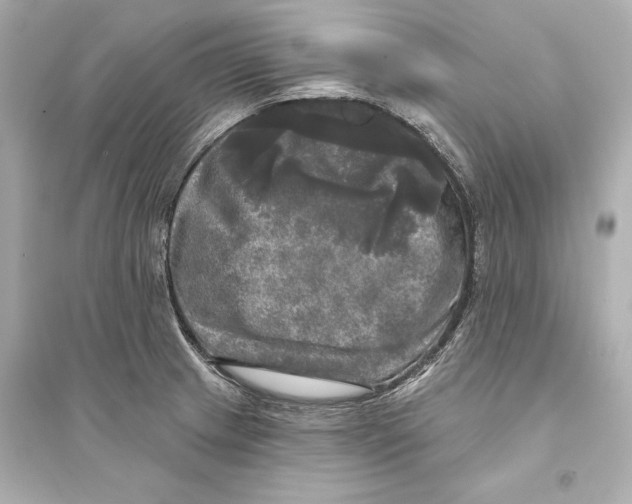 X0000093741233200711131054