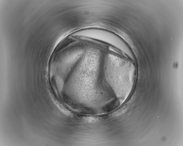 X0000093741234200711131054