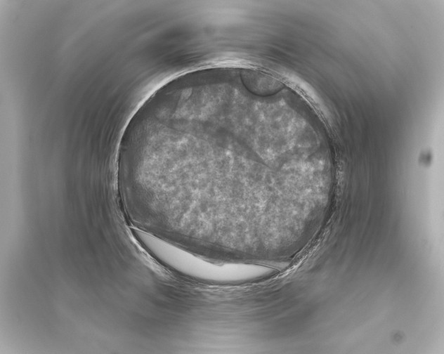 X0000093741236200711131054