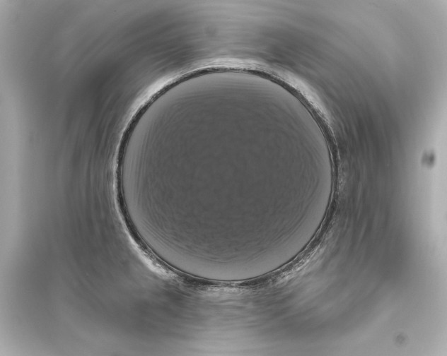 X0000093741237200711131054