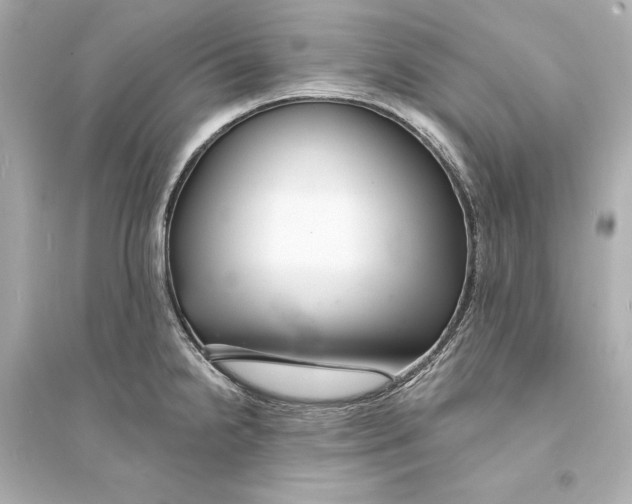 X0000093741238200711131054