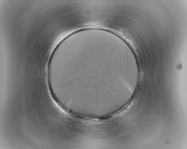 X0000093741239200711131054