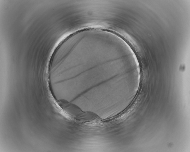X0000093741240200711131054