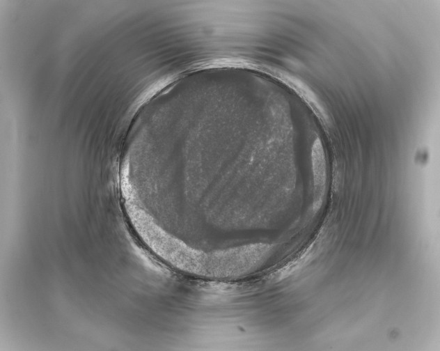 X0000093741241200711131054