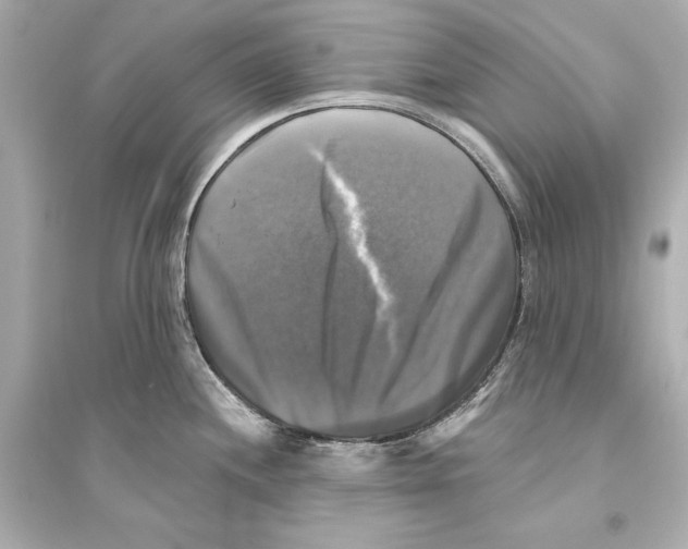 X0000093741244200711131054
