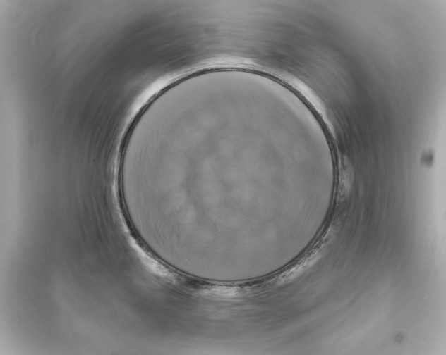 X0000093741245200711131054