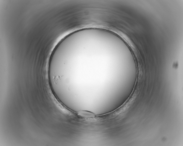 X0000093741246200711131054