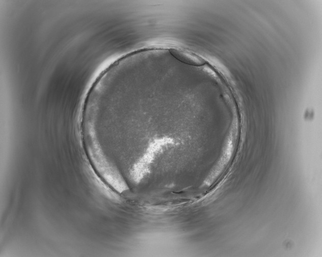 X0000093741248200711131054