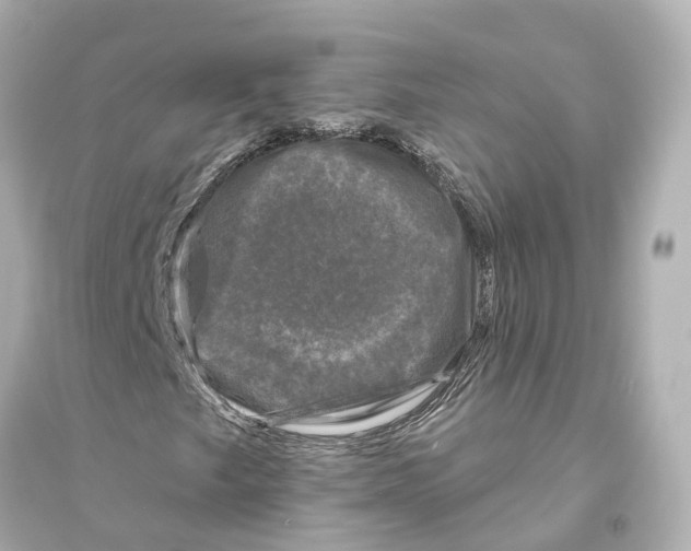 X0000093741249200711131053
