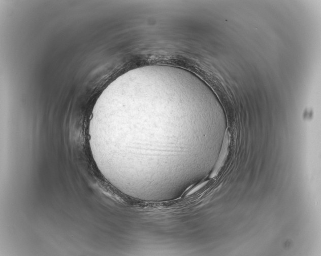 X0000093741250200711131053