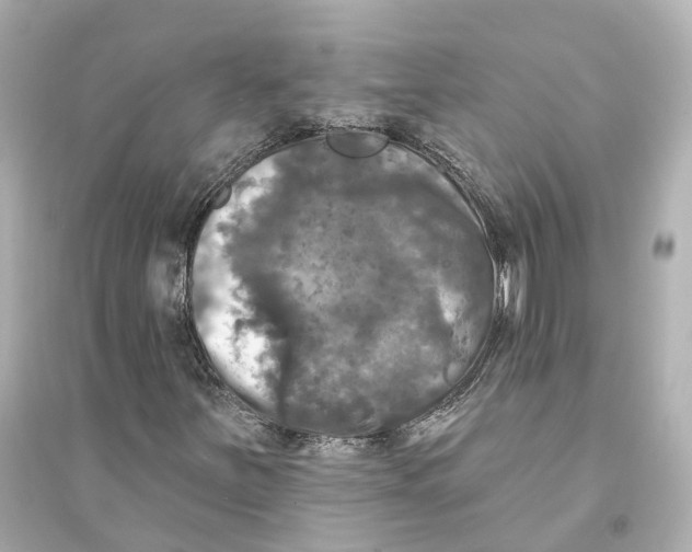 X0000093741251200711131053