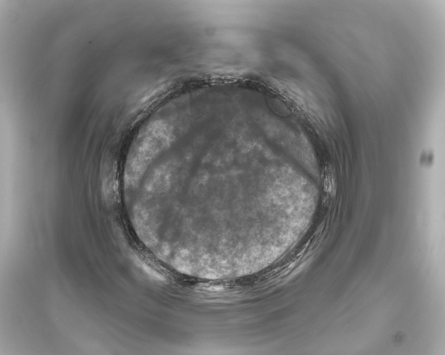 X0000093741252200711131053