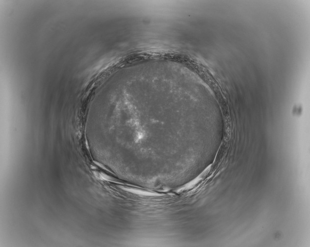 X0000093741253200711131053