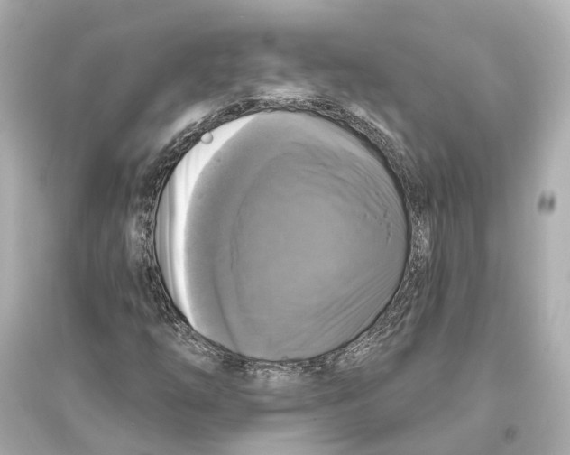 X0000093741254200711131053