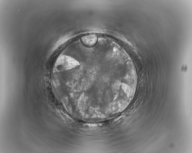X0000093741255200711131053