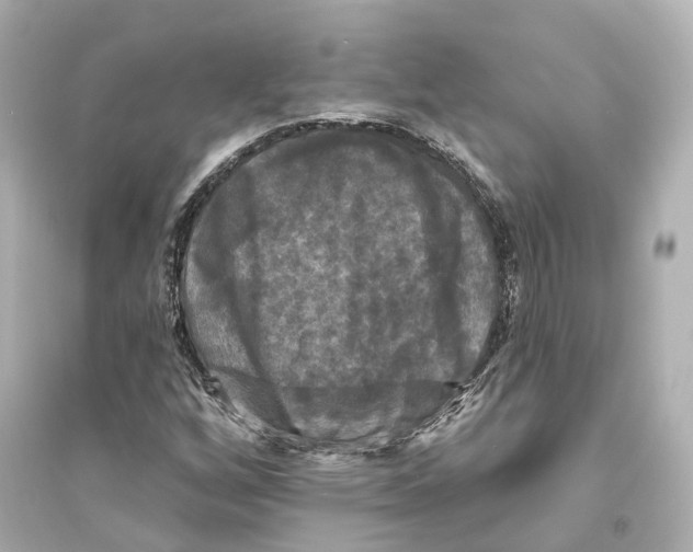 X0000093741256200711131053