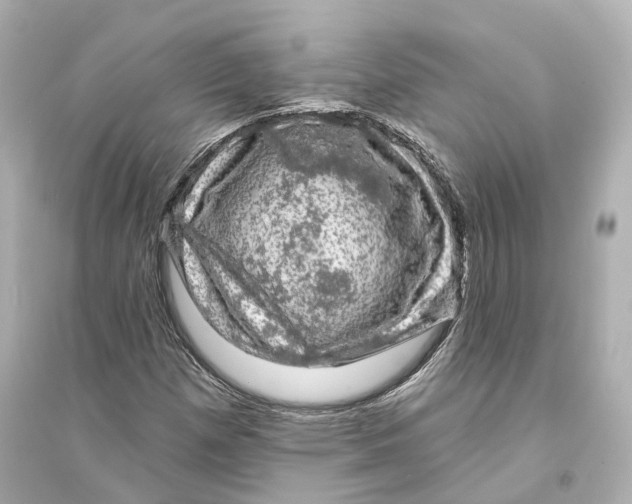 X0000093741257200711131053