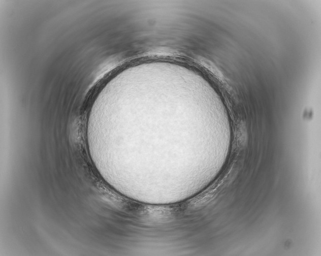 X0000093741258200711131053
