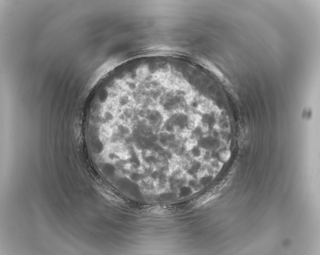 X0000093741259200711131053
